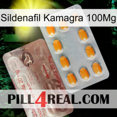 Sildenafil Kamagra 100Mg new13